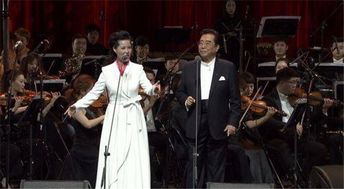 李双江与丁英，音乐与艺术的双重交响
