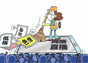 网红机场闹事被拘，公众人物的责任与道德底线