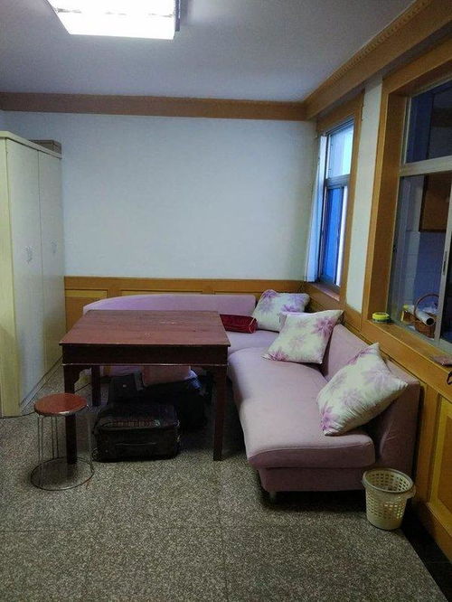 礼泉房屋出租，打造温馨舒适的生活空间