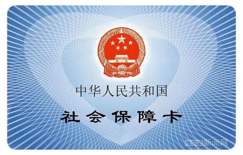 社保是什么意思，构建社会安全网的核心支柱