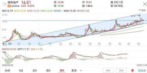 本轮牛市首个10倍股，揭秘背后的投资逻辑与市场趋势