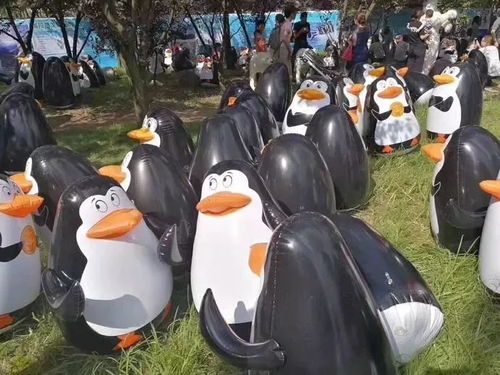 一只企鹅游到新西兰，奇迹之旅与生态启示