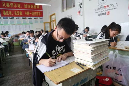 带饭学生不能进食堂，一场关于规则、公平与理解的探讨