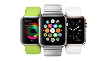 瑞士手表遇冷，全球变革下的挑战与机遇