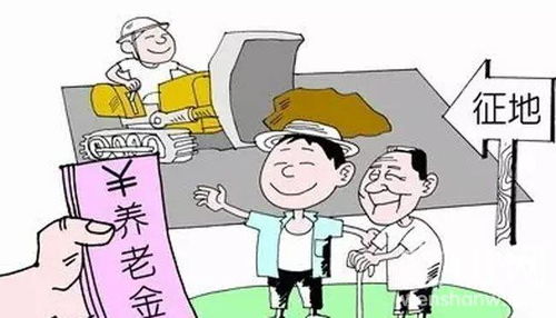 参战人员补助政策解析与实践