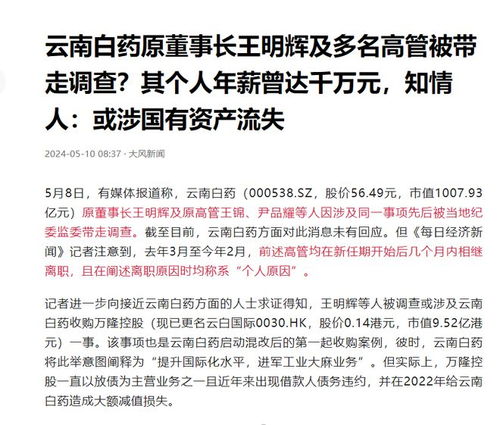 千亿巨头高管被调查，企业治理与合规性的警钟