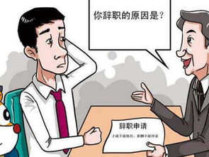 公务员辞职，现状、原因与影响
