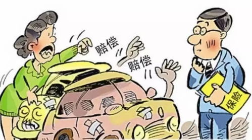 交通事故赔偿案例，从实际案例中看法律保护与权益维护