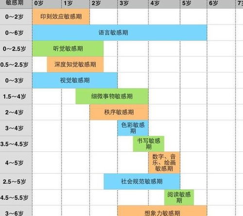 儿童年龄范围及其重要性