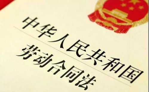 劳动合同法第38条，劳动者权益保护的法律利器