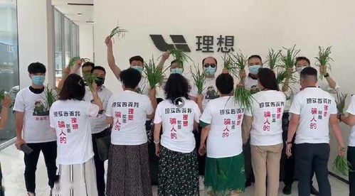 北京辩护律师，专业与责任的守护者