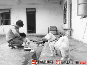 男子持械行凶后自残，人性的扭曲与悲剧的反思