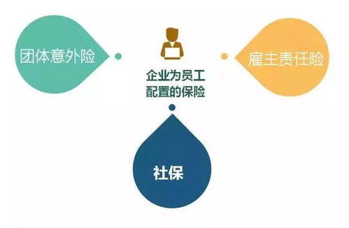 人身保险种类详解