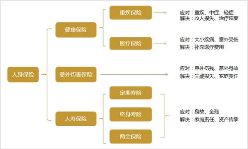 人身保险种类详解