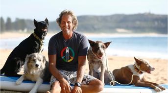 闯动物基地杀狗伤人，一场不应发生的悲剧