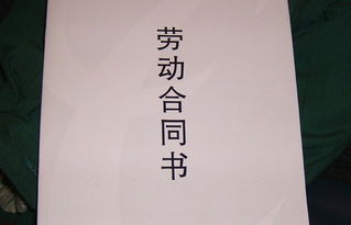 劳动合同应当具备哪些条款