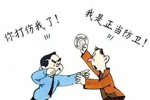 正当防卫案例，法律与道德的交汇点