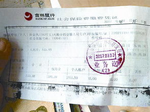 基本养老保险参保缴费凭证，保障退休生活的基石