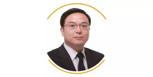 河南知名律师，法律之光的守护者