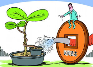 促进环保与社会公平的经济杠杆