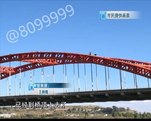 便捷法律服务的桥梁