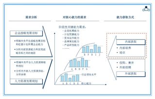 构建高效培训体系的关键