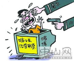 法律、公正与社会舆论的碰撞