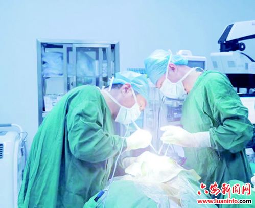 守护旅途安全的生命线
