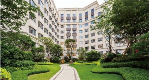 小区外每晚下鸟屎雨，成因、影响及解决方案