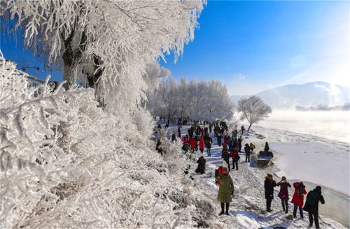 东北的雪要下到发紫，一场雪国奇景的浪漫与科学解析