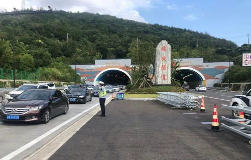 端午粽香飘，高速免费行