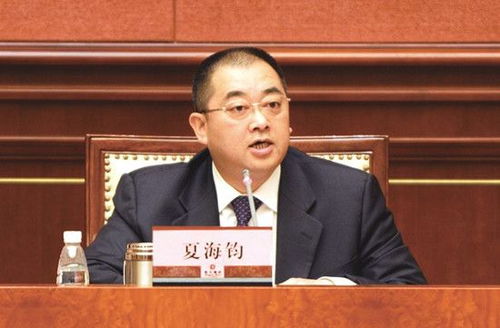 恒大与许家印的限高令，一场金融风暴的启示