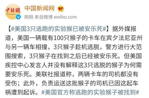 外逃不会唱国歌被捕，一场关于身份认同与国家责任的深刻对话