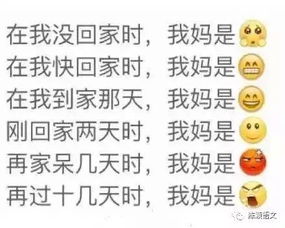 享受假期的完美指南