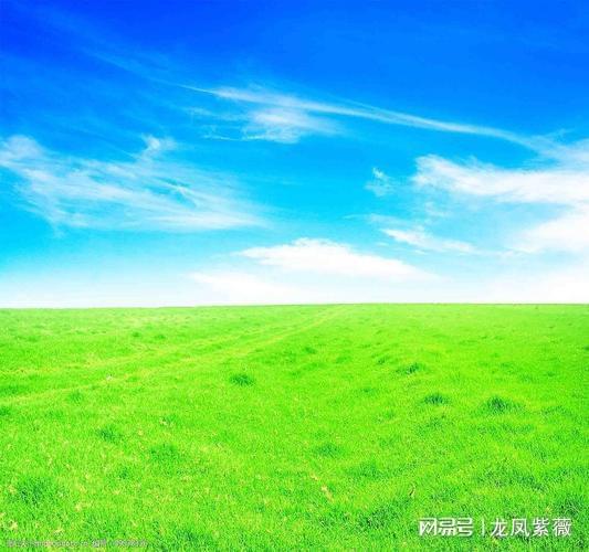 为乡村生活撑起一片蓝天