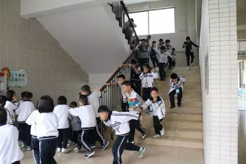 构建和谐训练环境