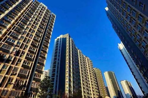 打造吸引租客的完美房源广告