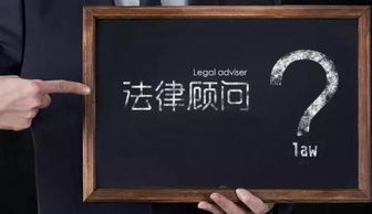 您的专业法律顾问
