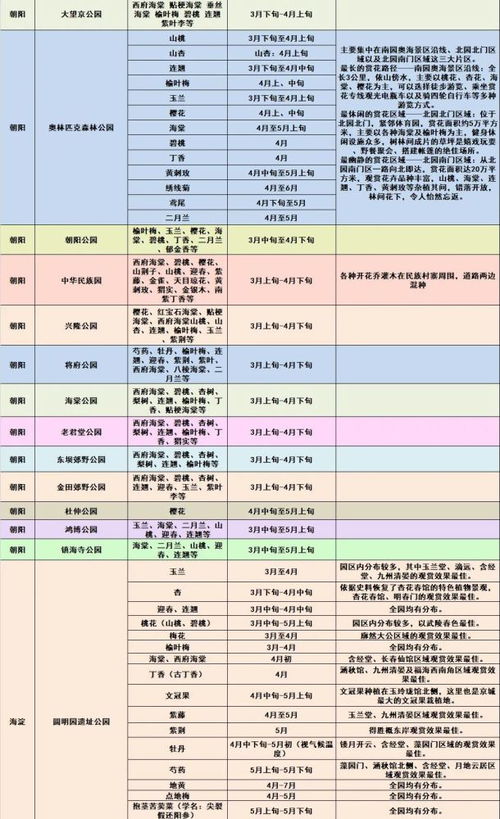 一份详尽指南