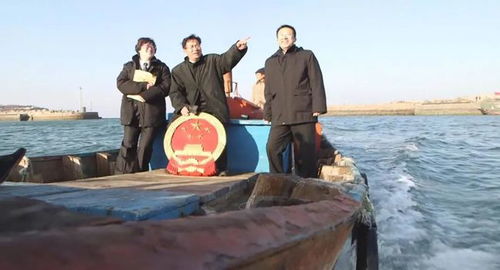 守护公平与正义的灯塔