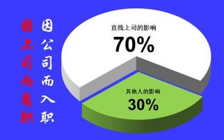 原因、影响与应对策略