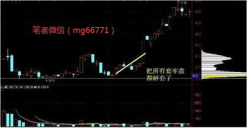 操纵股票亏损2.17亿，股市中的陷阱与教训