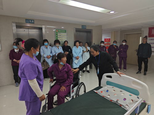 河北省卫生厅，守护健康，共筑美好明天