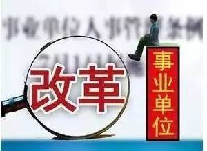 政策解析与生活影响