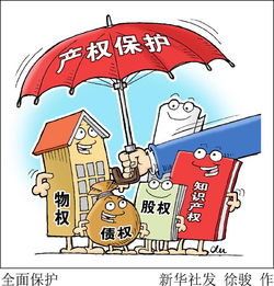 守护国家治理的基石