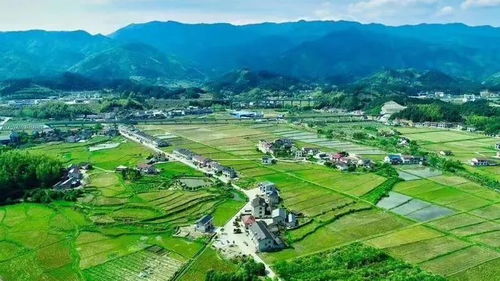 农村宅基地管理办法，守护农民的安居乐业
