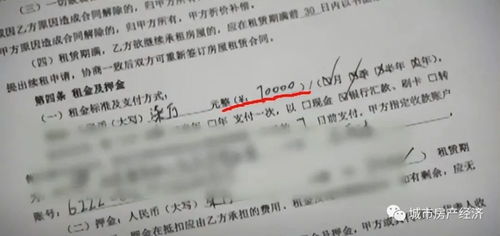 一份保障租客和房东权益的法律文件