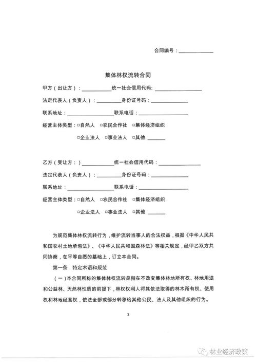 解读林地承包合同，从法律条款到实际操作的全方位指南