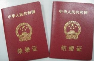 如何高效准确地进行结婚证查询