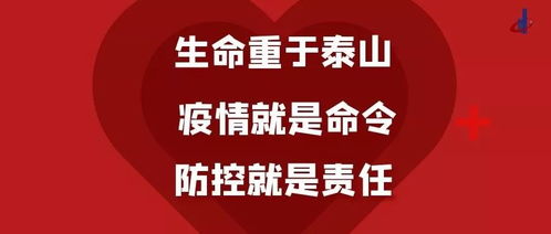 如何确保项目顺利进行